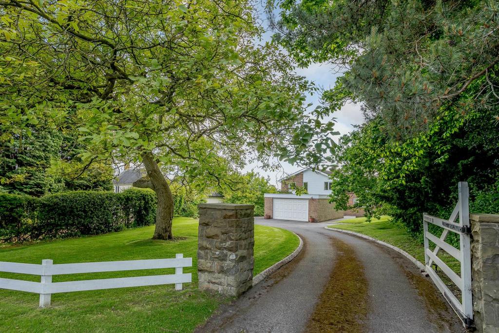 Driveway