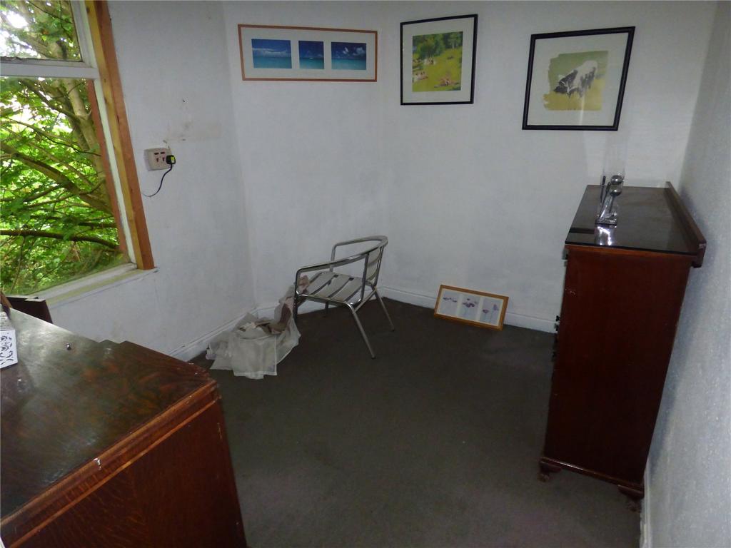 Picture 11