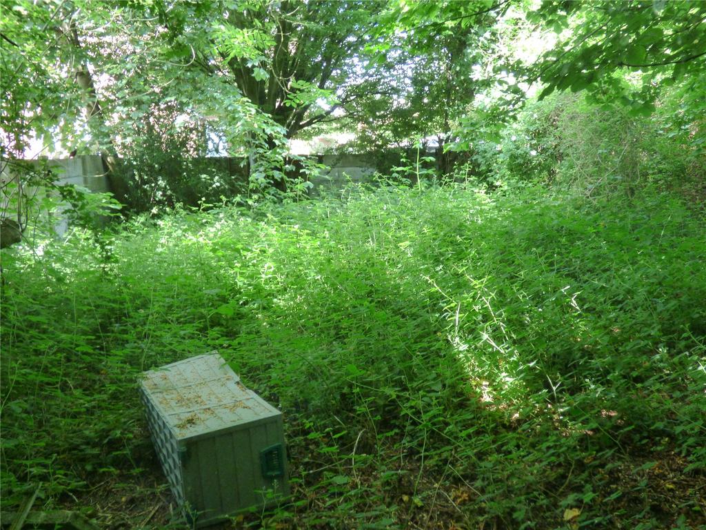 Picture 13