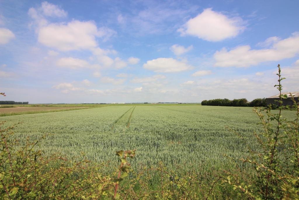 Shore Road, Hesketh Bank, PR4 3 bed terraced house £225,000