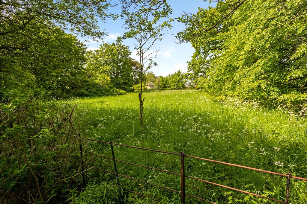 Pasture
