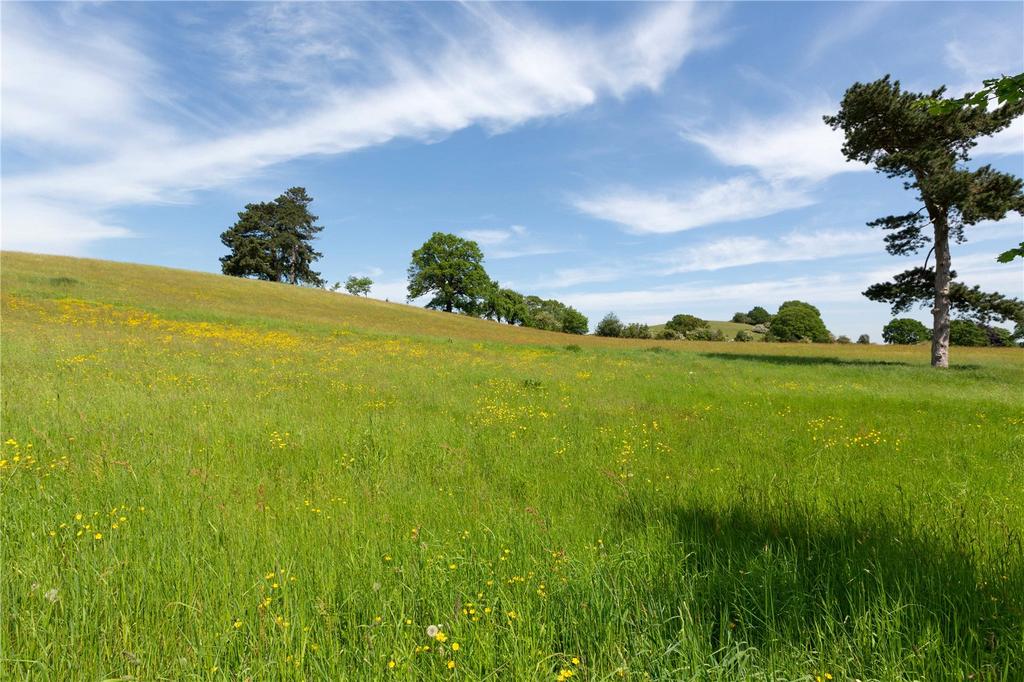 The Land