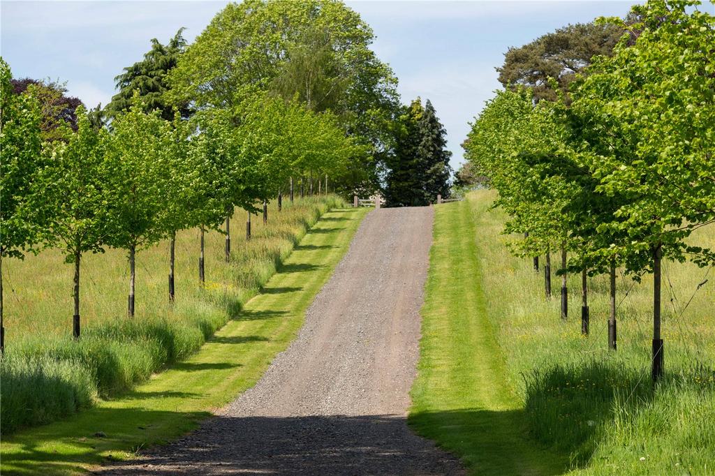 The Approach