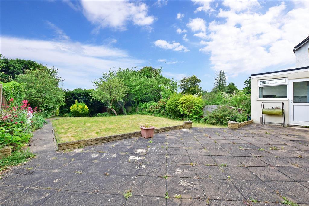 Patio / Decking