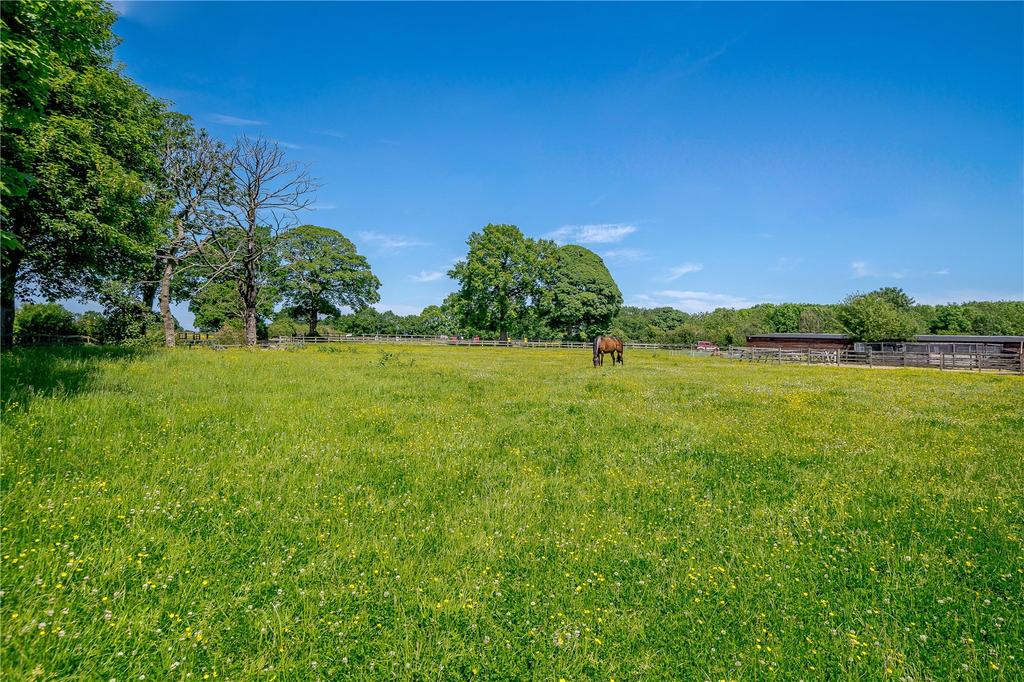 Picture No. 29