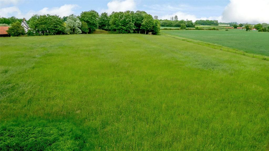 Grounds
