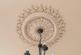 Ceiling Rose