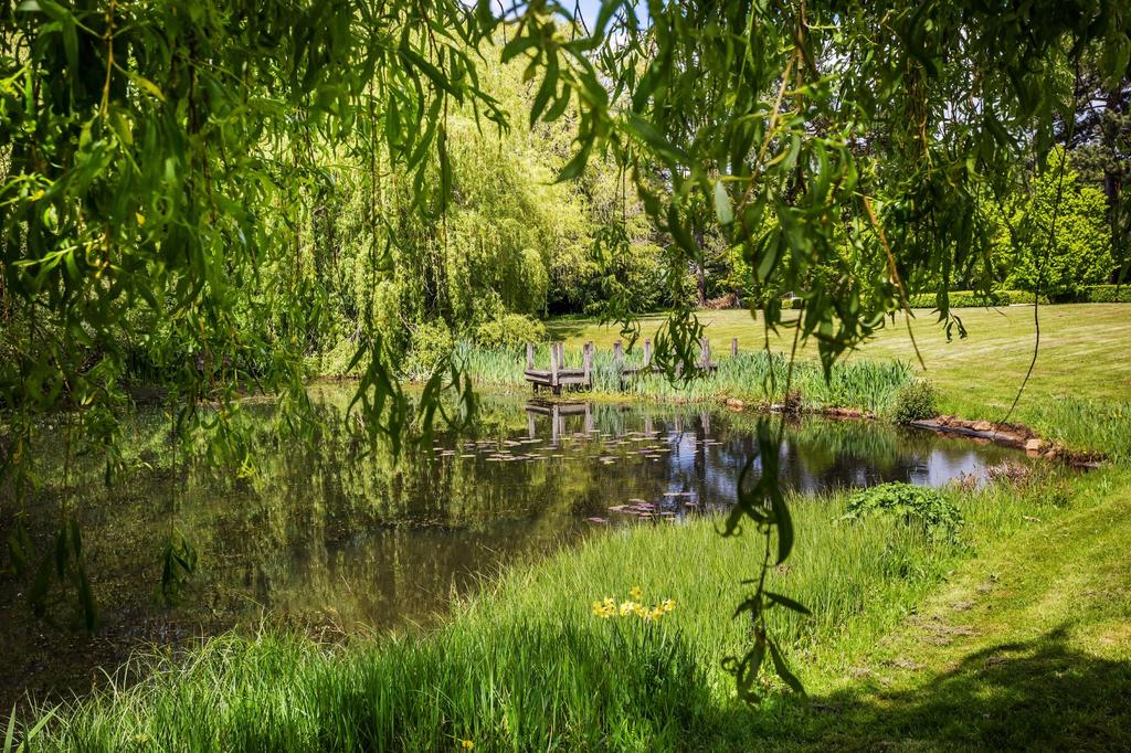 Grounds