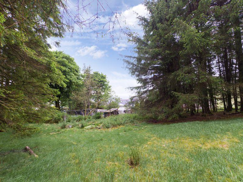 Garden - asp 3