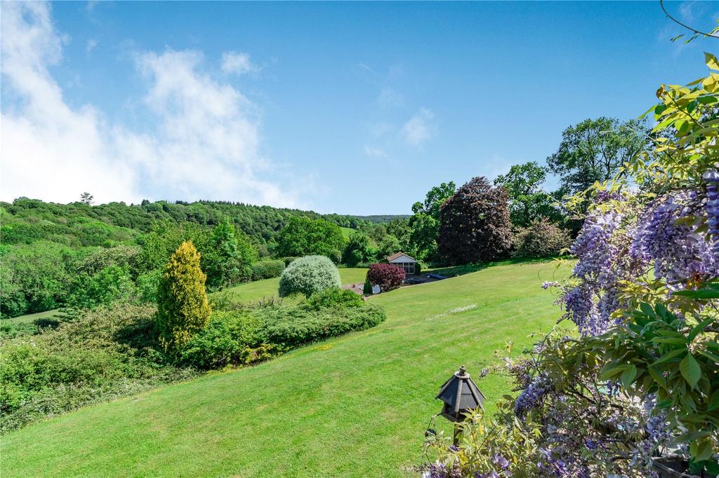 Garden 3