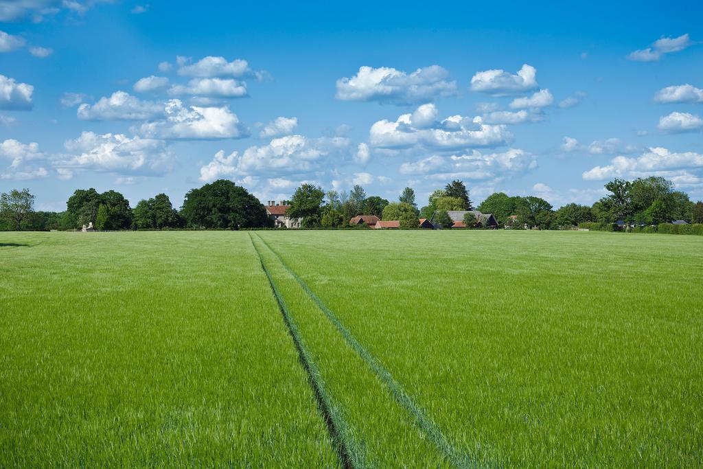 Farmland