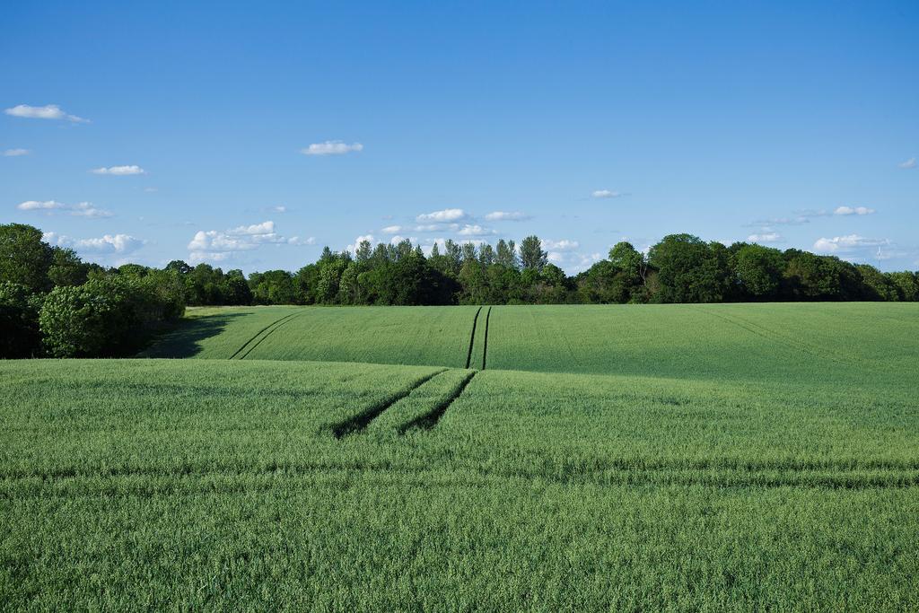 Rolling Country