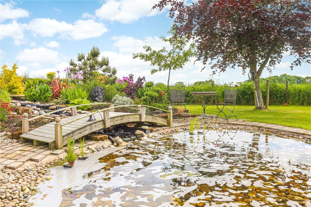 Pond