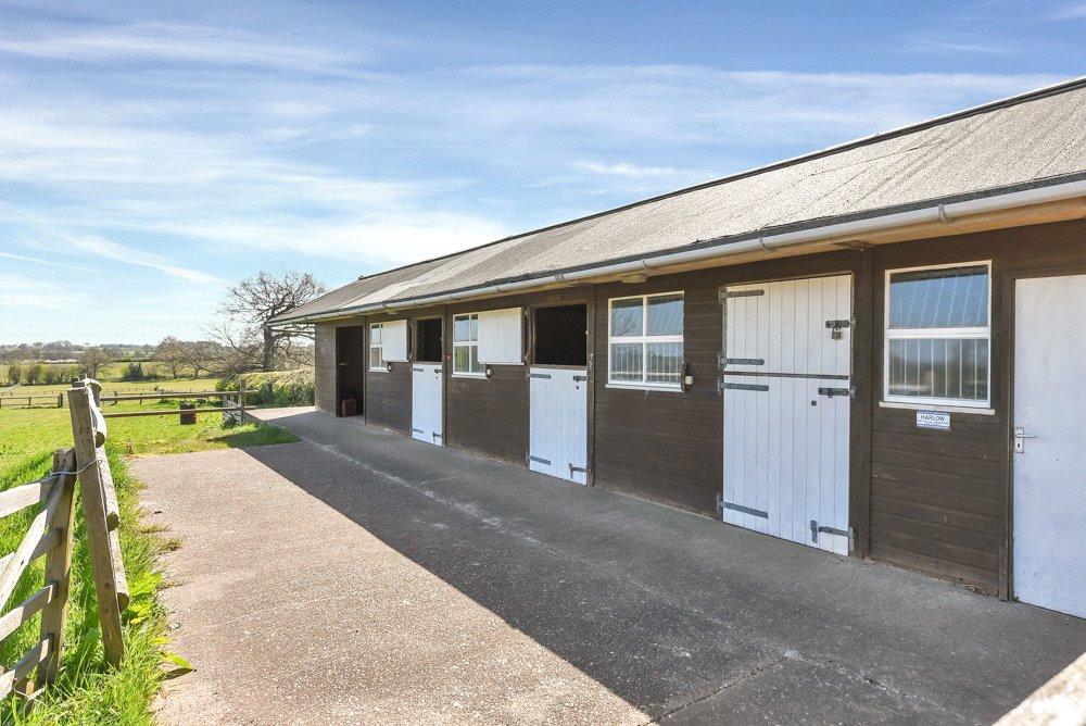 Stables