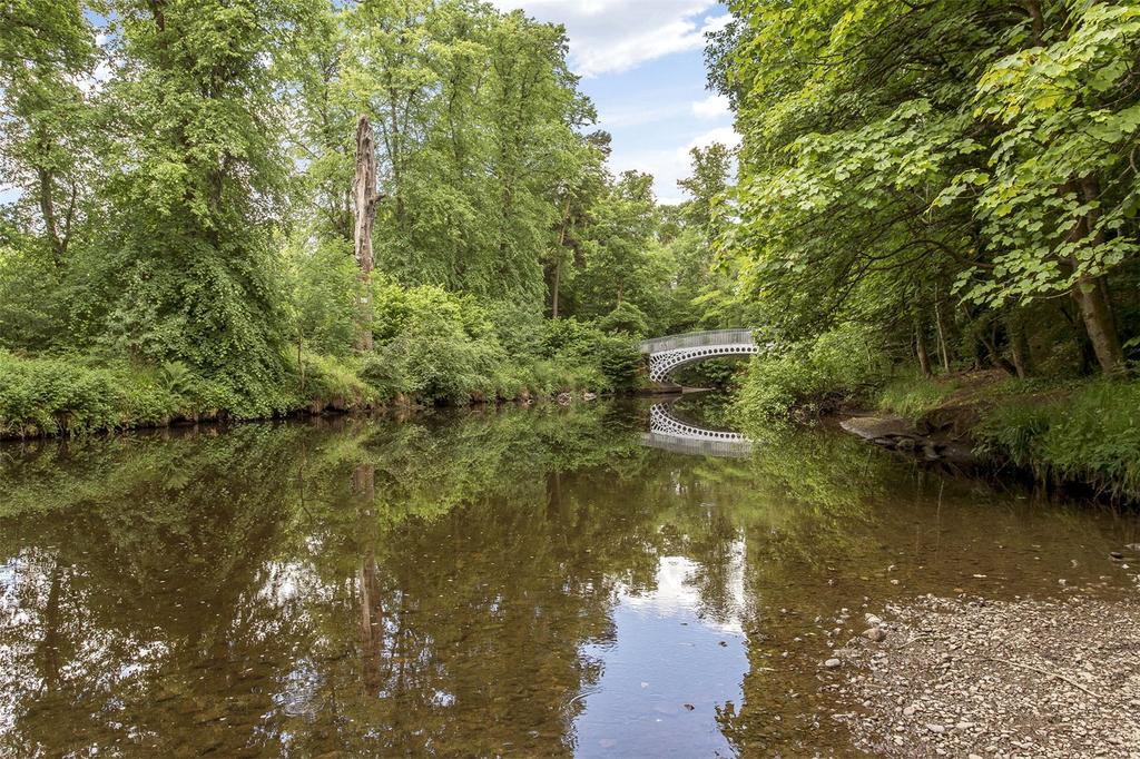 River Through Park