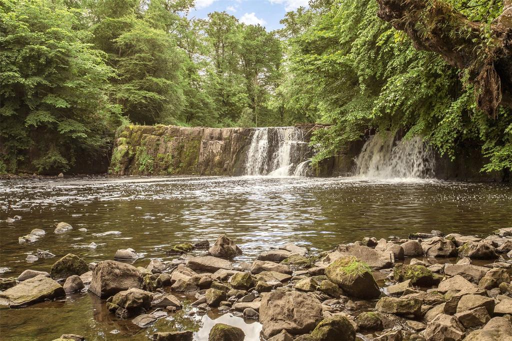 Waterafall In Park
