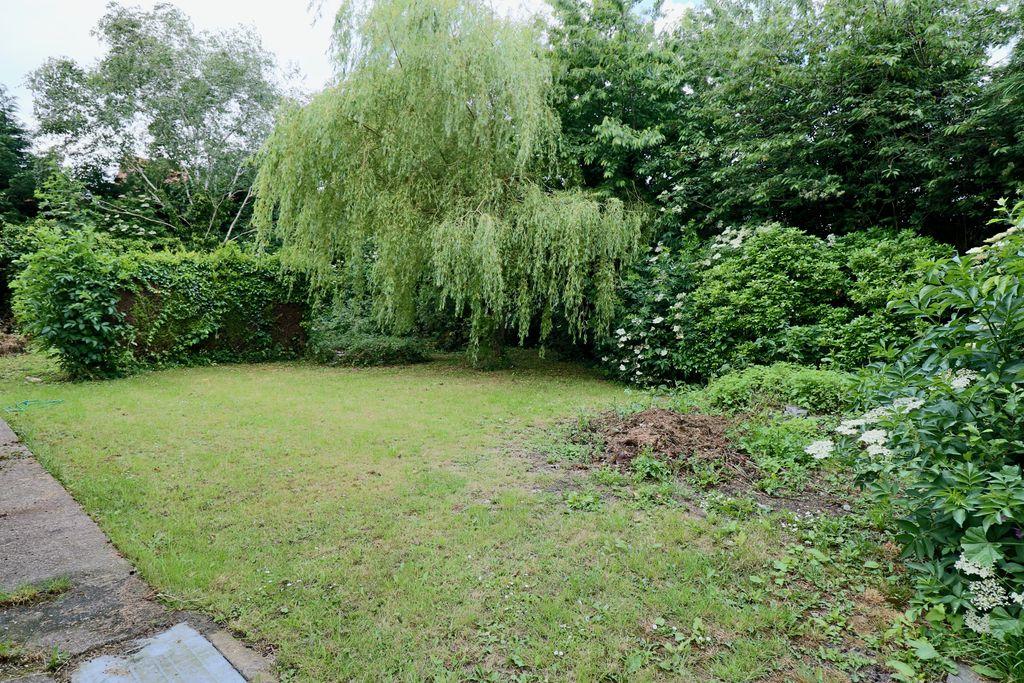 Garden at Back