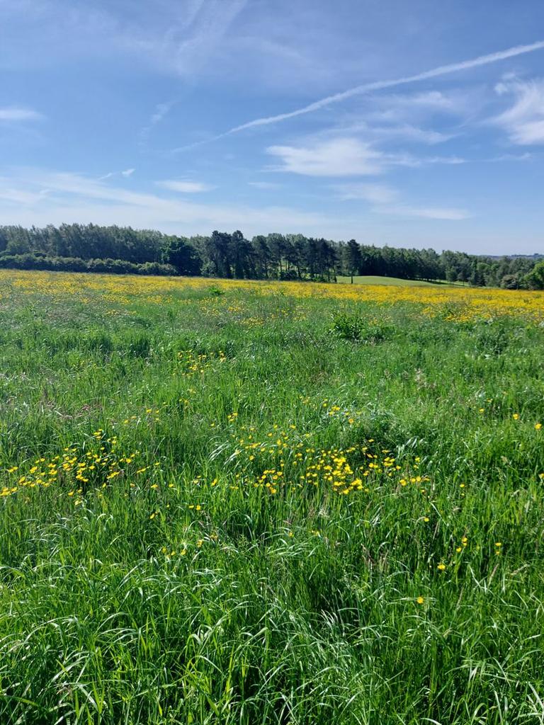 Land at Codnor