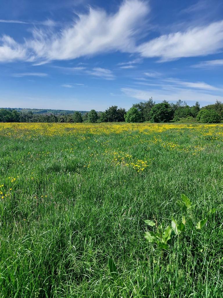 Land at Codnor