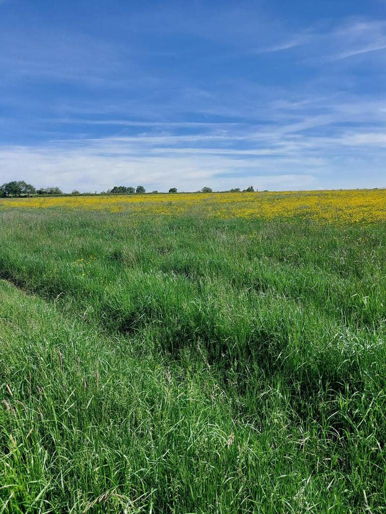 Land at Codnor