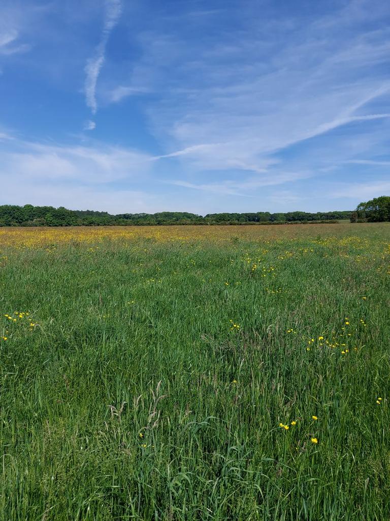 Land at Codnor