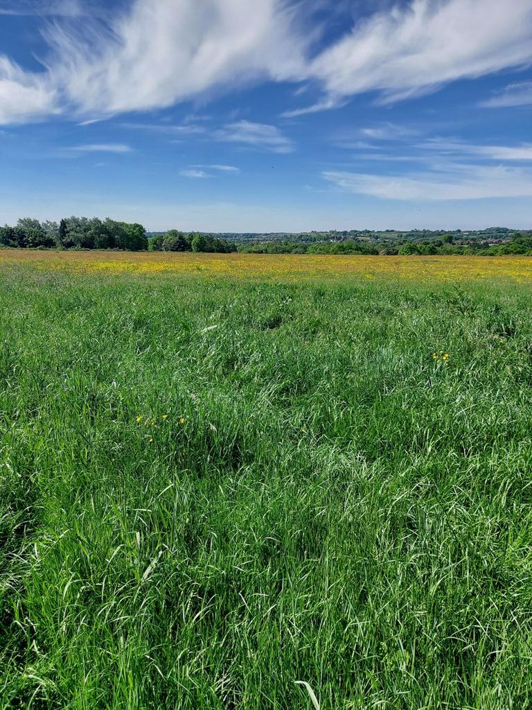 Land at Codnor