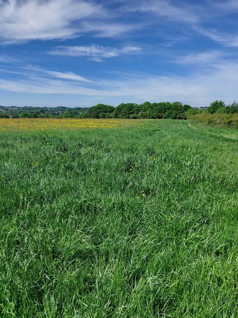Land at Codnor