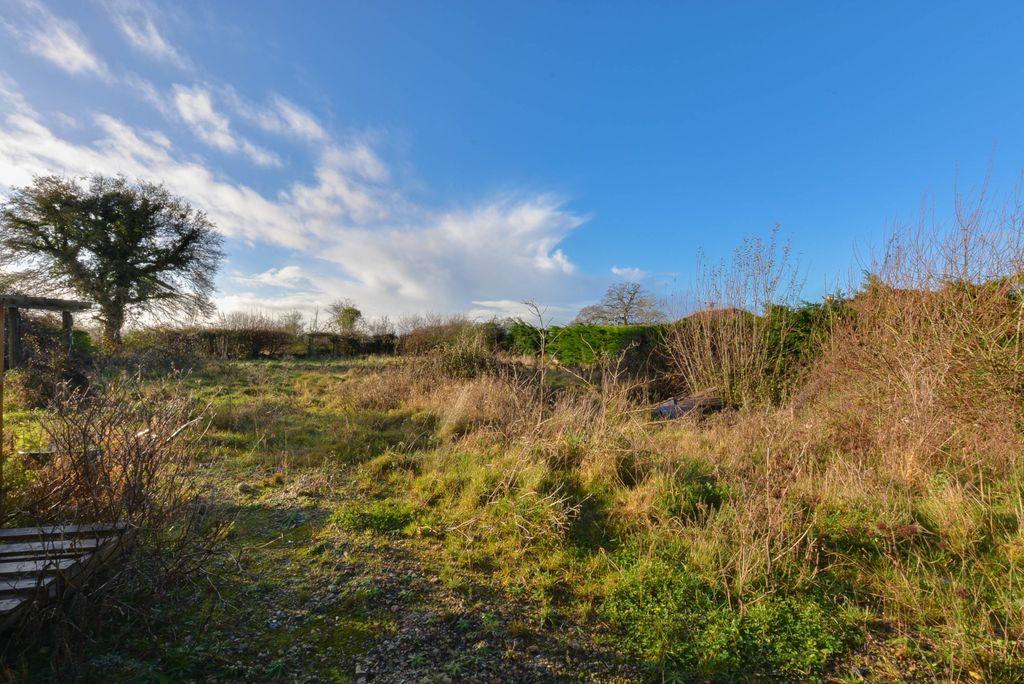 View of Property at Back
