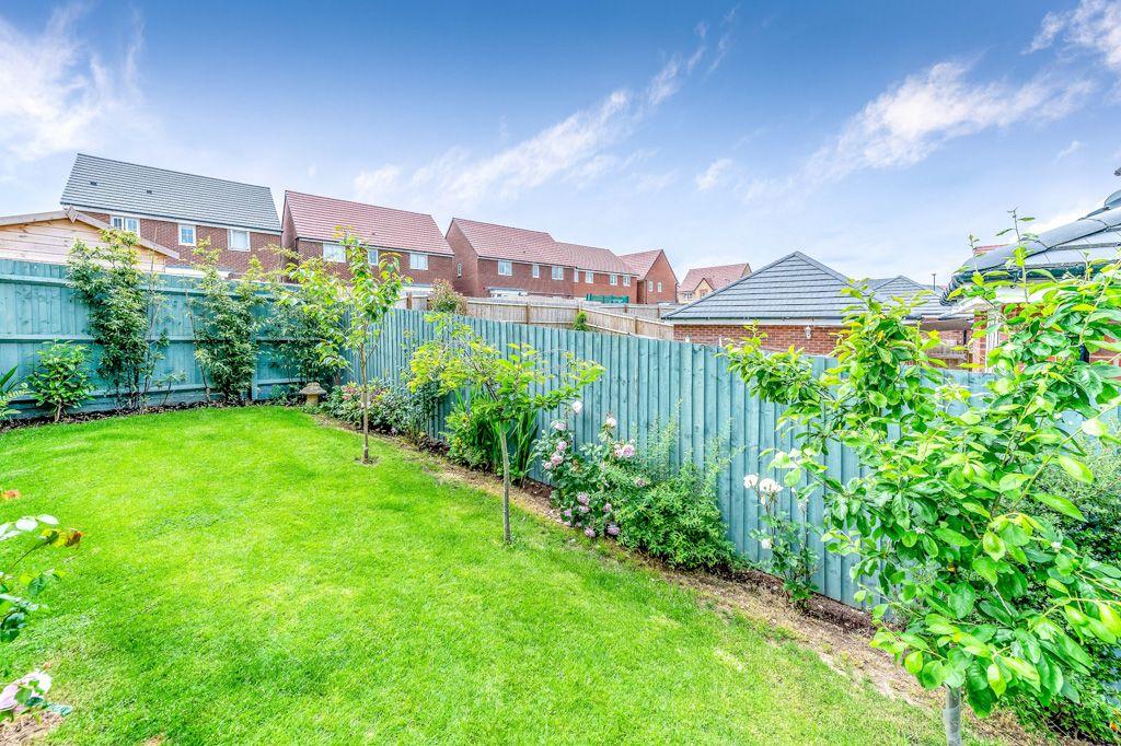 Garden at Back