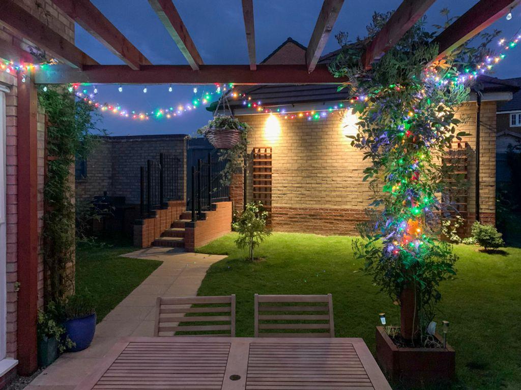 Garden at night