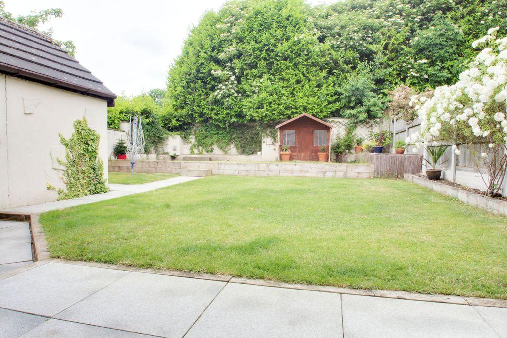 Garden at Back