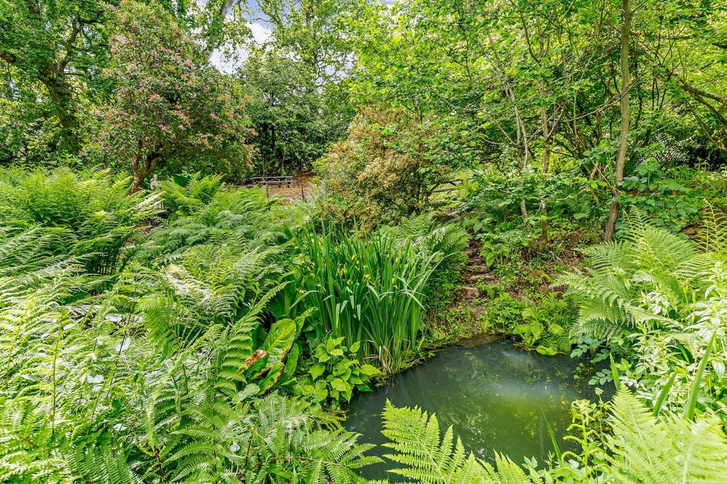 Pond