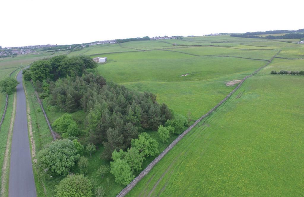 Land At Thornley Village, Tow Law Land £885,000