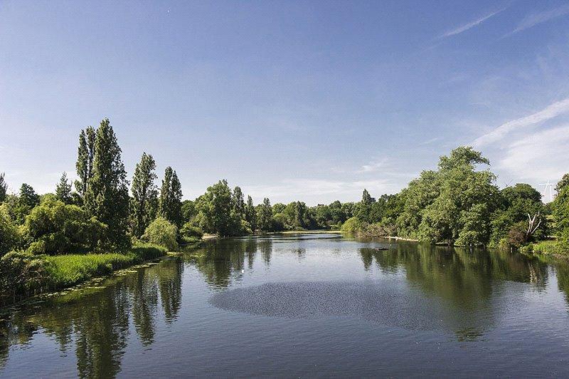 The Serpentine