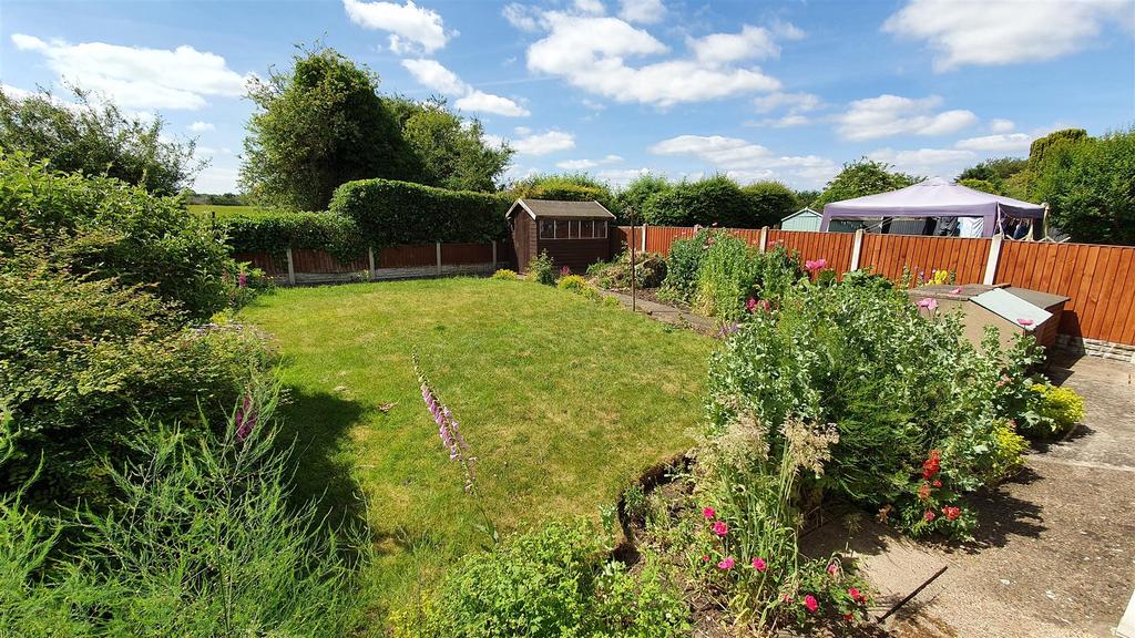 40.jpg