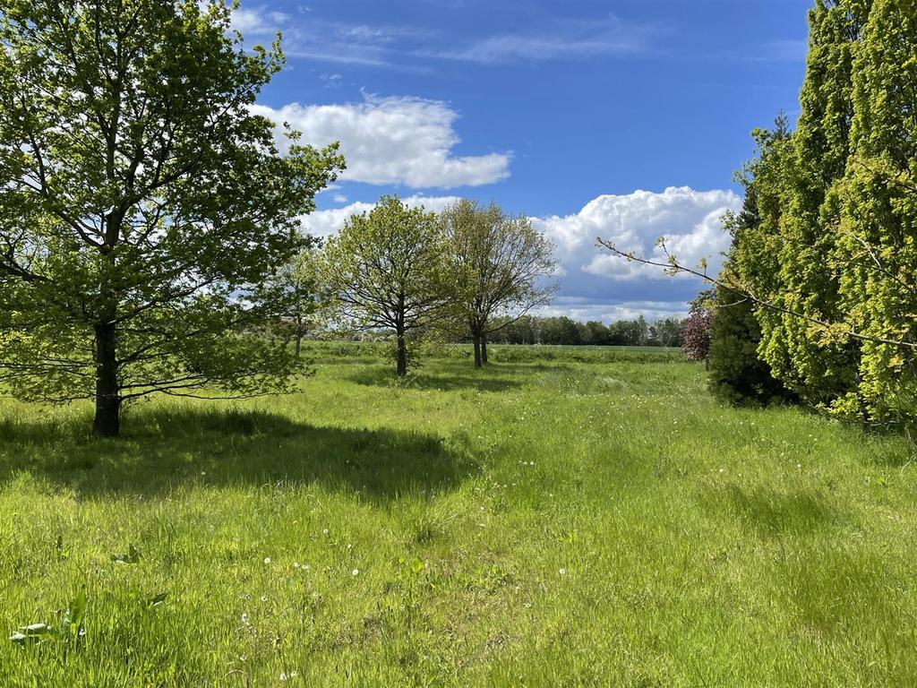 Land (3).JPEG