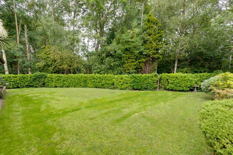 Lawn