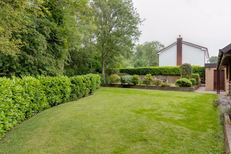 Woodland views