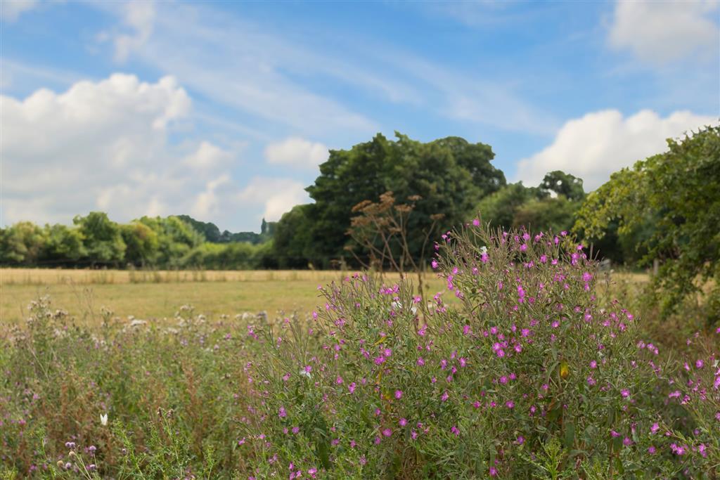 Actual views from Plot 259