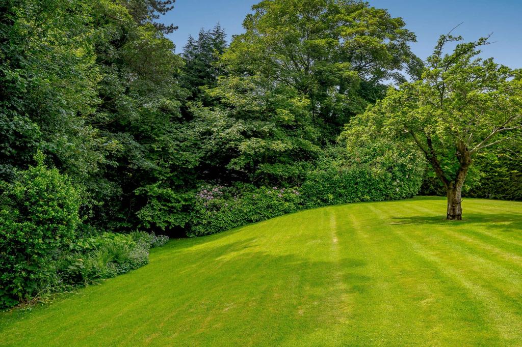 Lawn and Woods