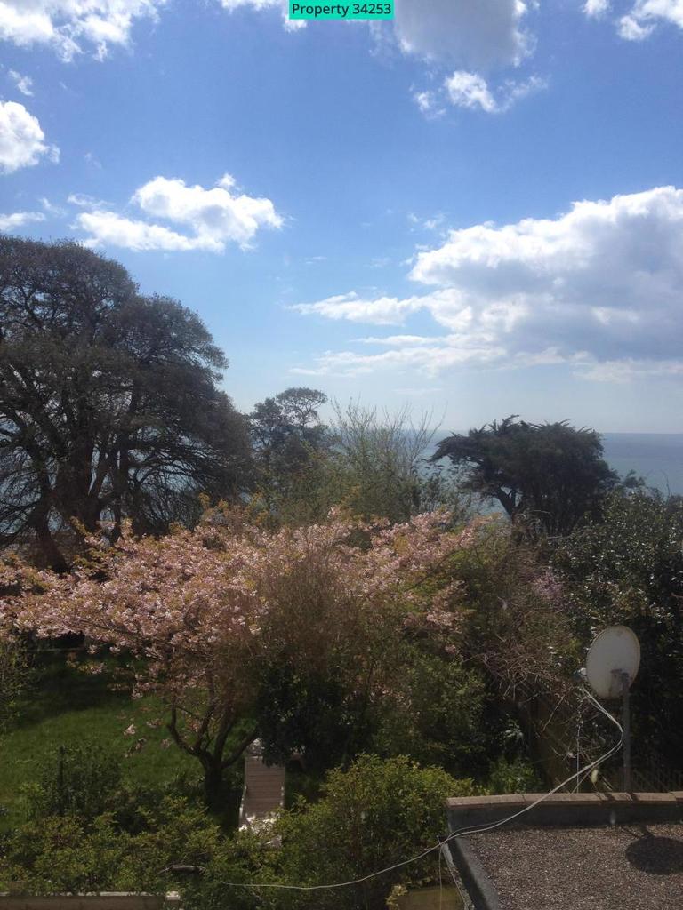 View from the living room