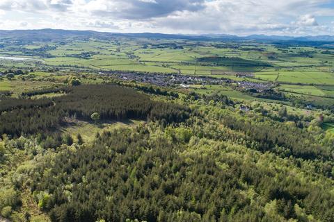 Land for sale - Skiff Wood, Howwood, Johnstone, Renfrewshire, PA9