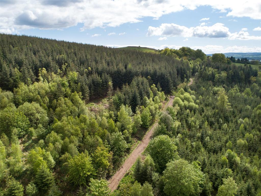 Skiff Wood, Howwood, Johnstone, Renfrewshire, PA9 Land for sale £585,000