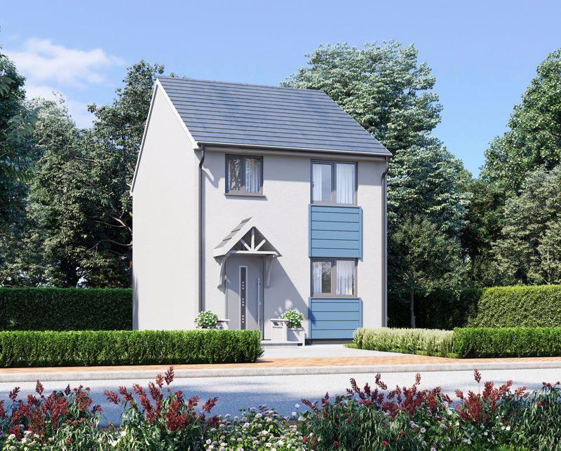 Front Aspect...