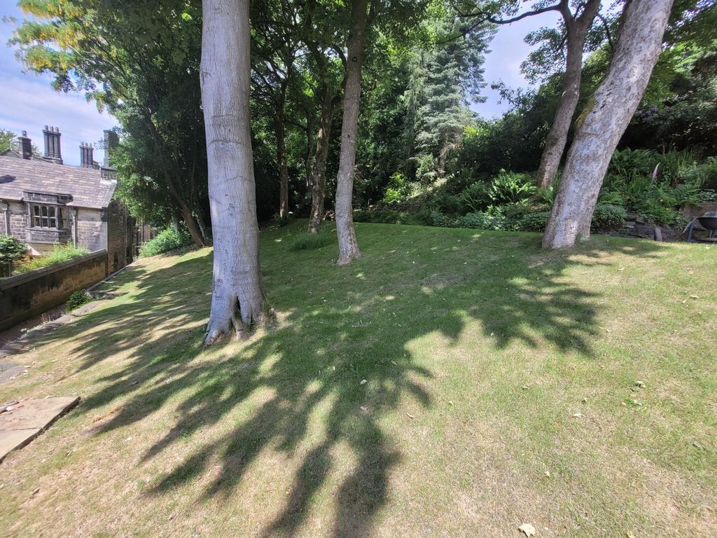 Photograph 30