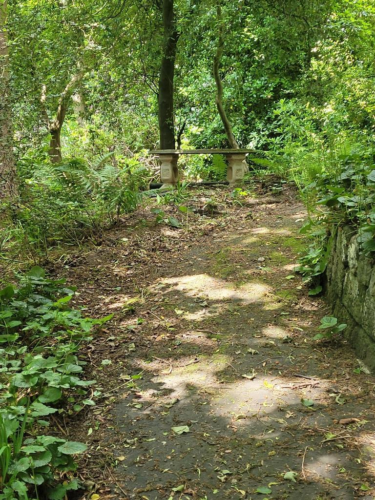 Photograph 34