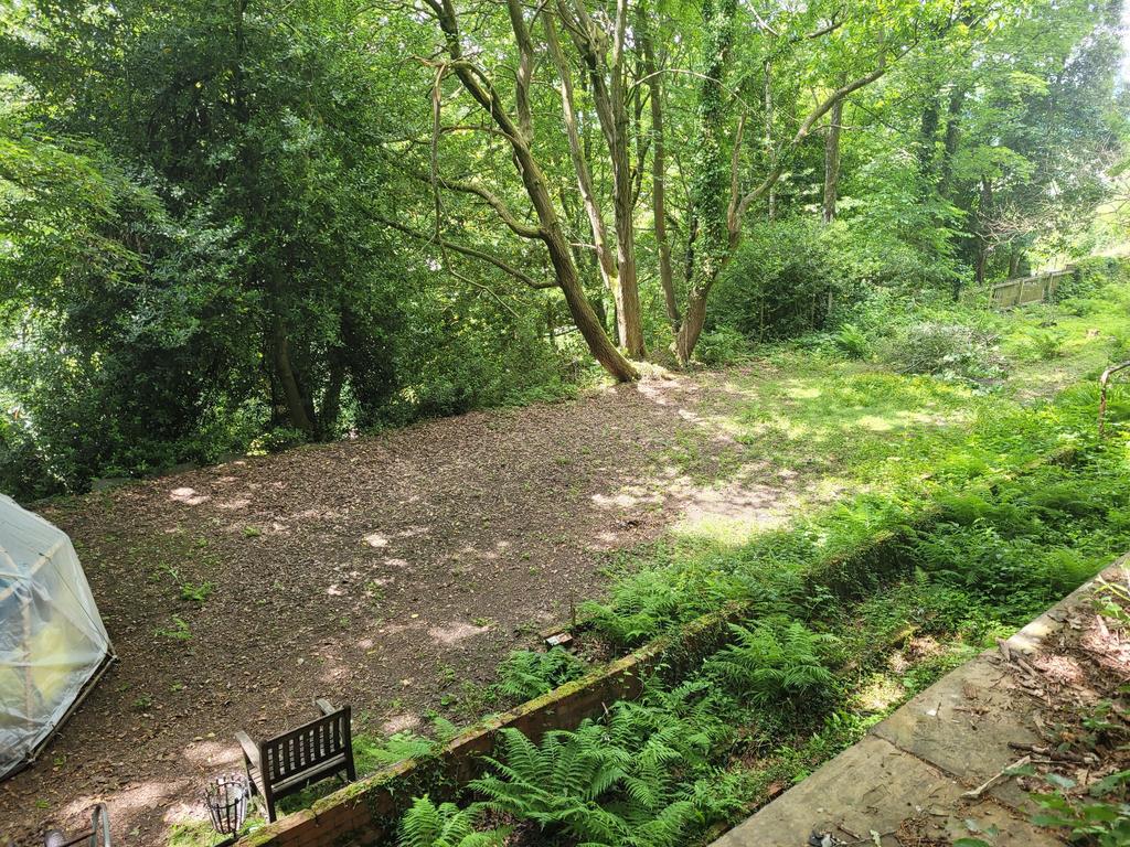 Photograph 36