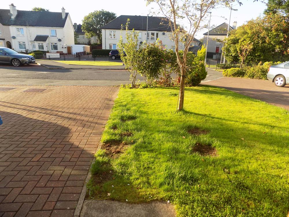 Front Garden