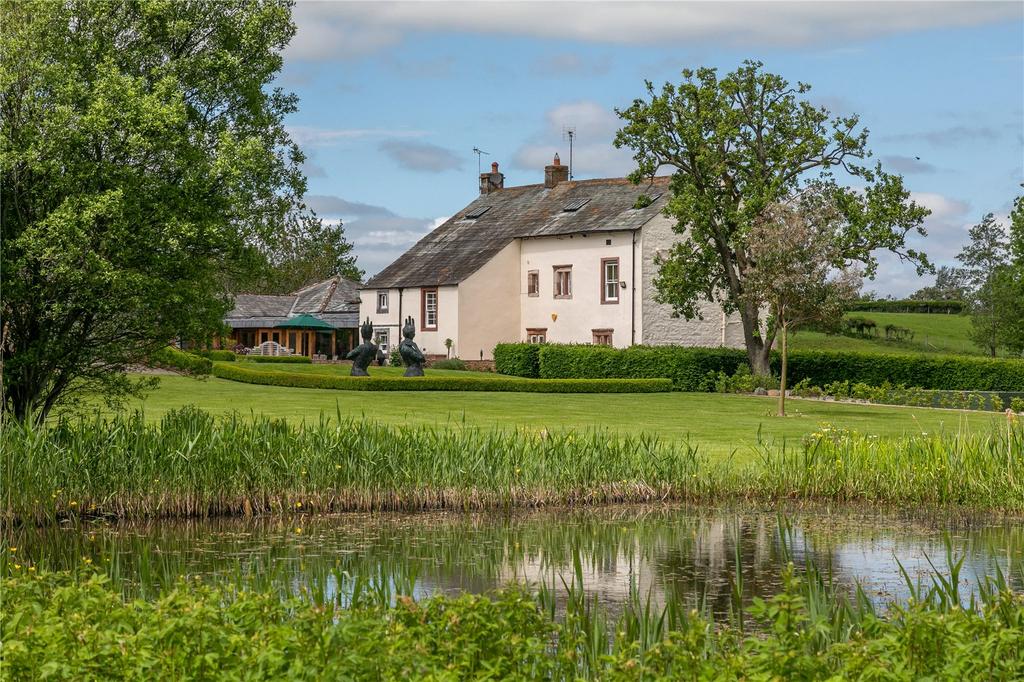 Rear From Pond