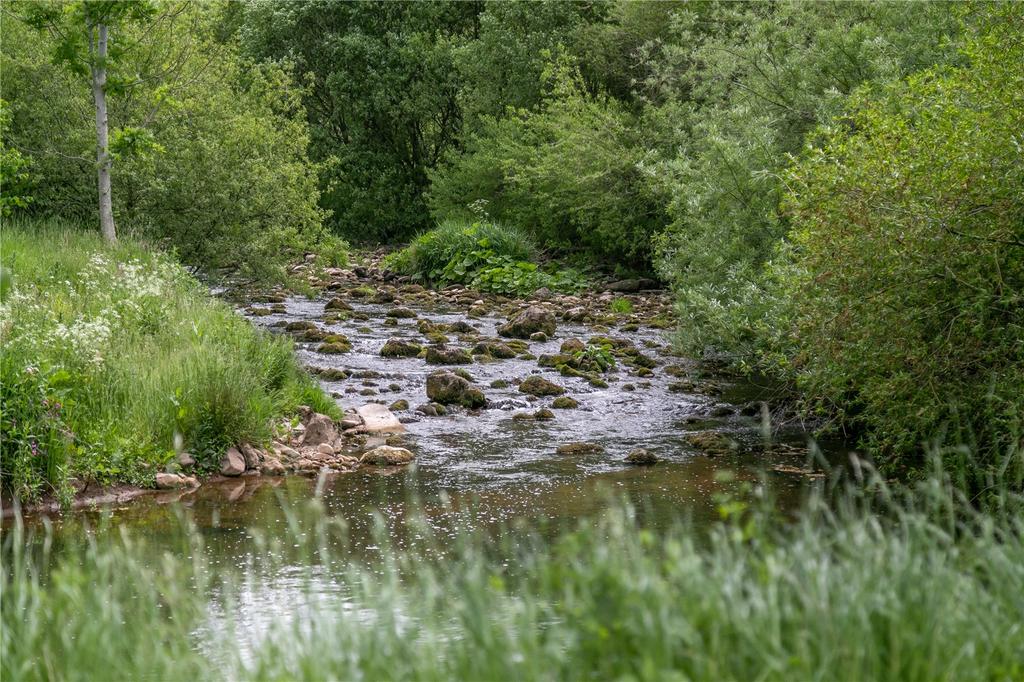 Hoff Beck